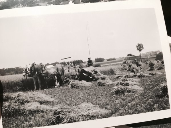 Harvest time, also in this area, I guess  #MadeleineprojectEN https://t.co/v8yJMJwVhX